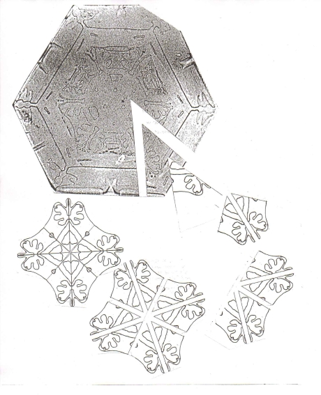 Illustration of How Pattern Was Derived From Photo